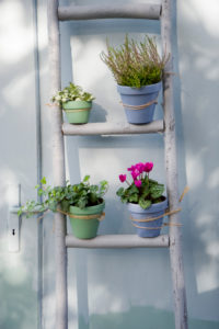 Autumn decoration, flower ladder Autumn decoration, flower ladder